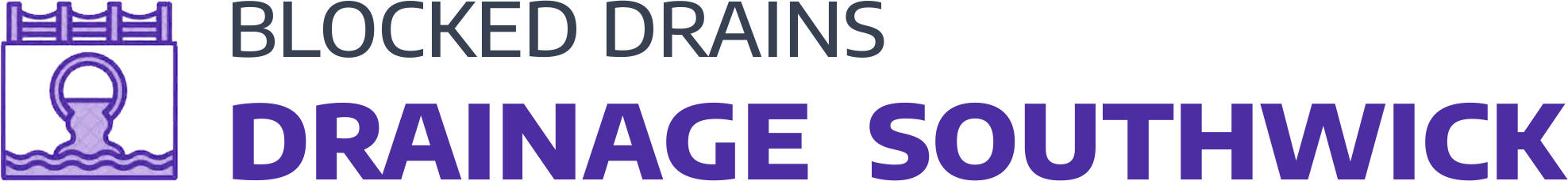 website logo